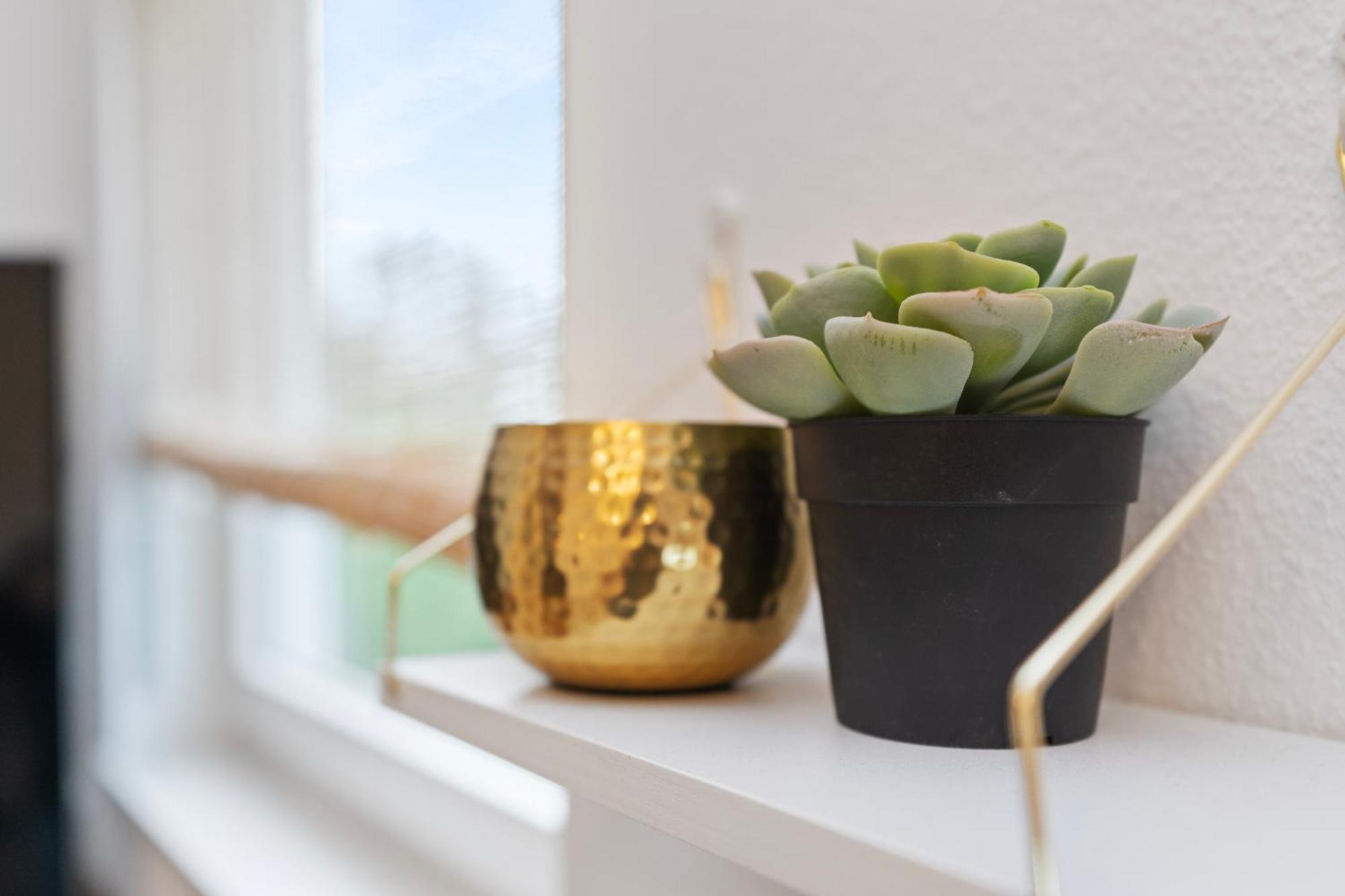 Anytime - Rohrbach Apartments FDH Kamer foto